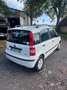 Fiat Panda - thumbnail 2