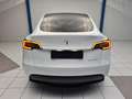 Tesla Model Y Long Range Dual AWD Weiß - thumbnail 8