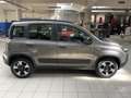 Fiat Panda Cross 1.0 FireFly S&S Hybrid Grey - thumbnail 1