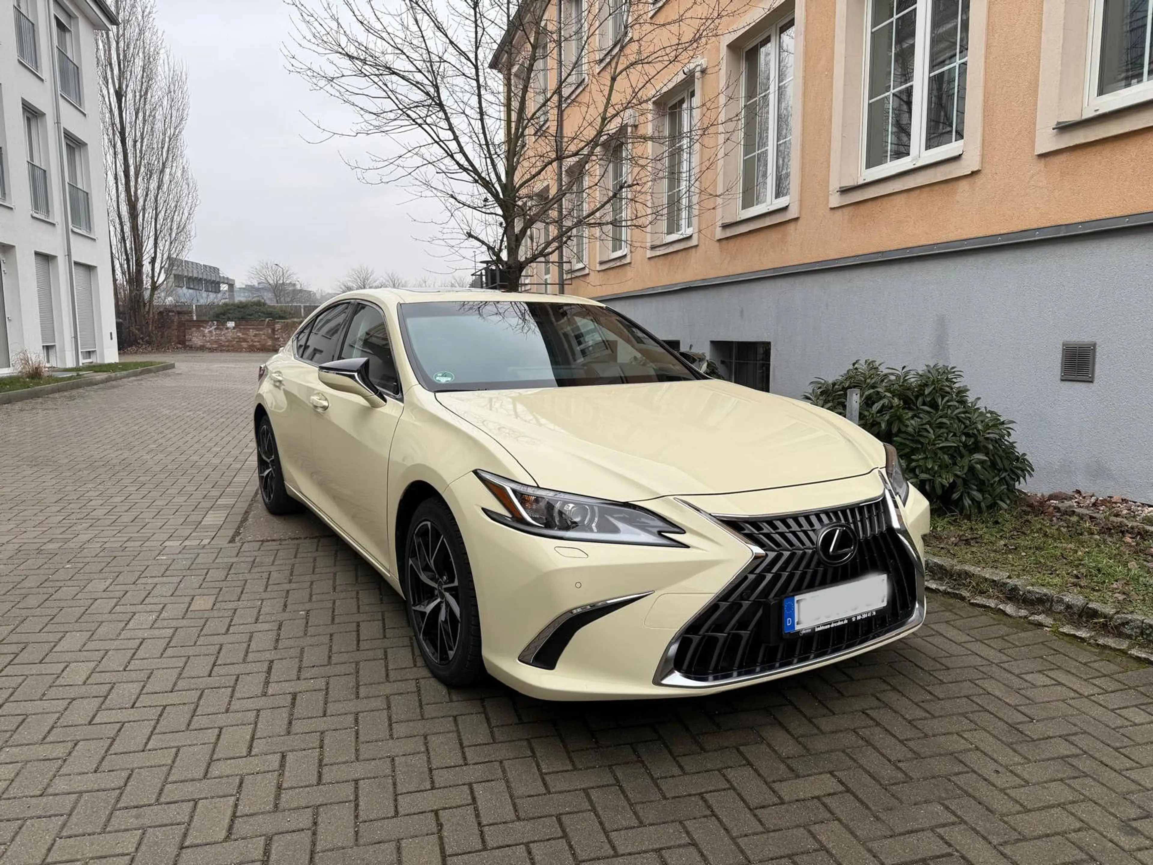 Lexus ES 300 h Business Line/ TAXI — photo 4