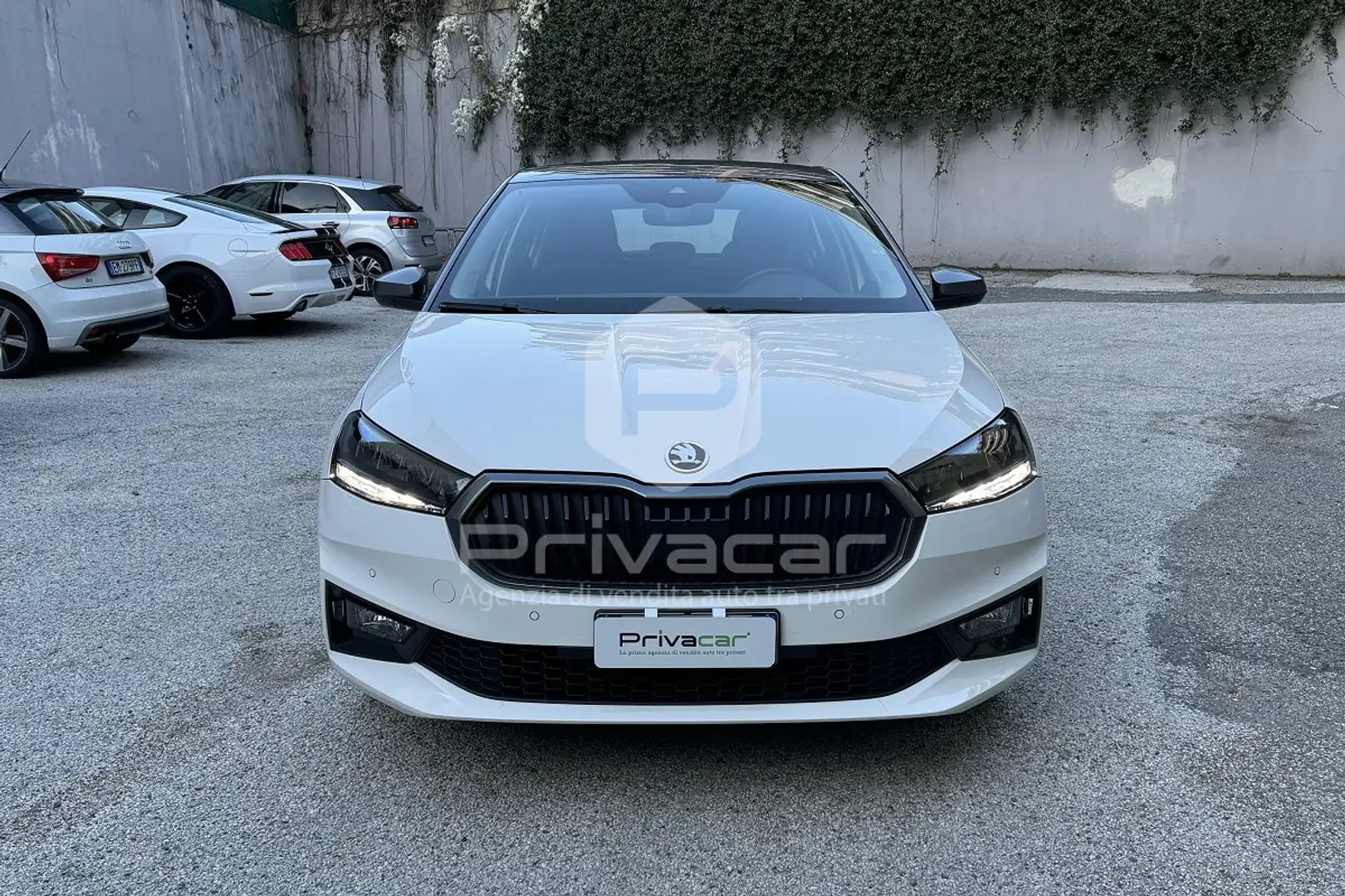 Skoda Fabia Fabia 1.0 TSI EVO DSG 110 CV Style Blanco - 2