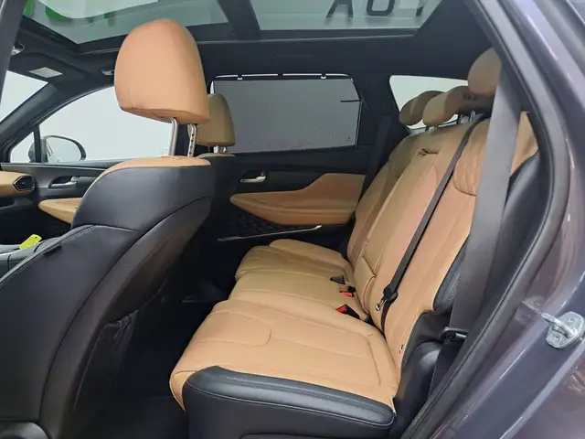 Hyundai Santa Fe view 13