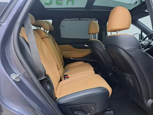 Hyundai Santa Fe view 14