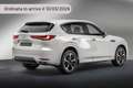 Mazda CX-60 3.3L e-Skyactiv D 249 CV M Hybrid AWD Exclusive L Argento - thumbnail 7