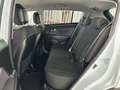 Kia Sportage 1.7CRDi Concept 4x2 Weiß - thumbnail 8