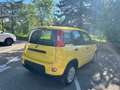 Fiat Panda Pandina 1.0 firefly hybrid Km0 Жовтий - thumbnail 4