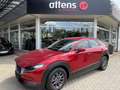 Mazda CX-30 2.0 M Hybrid  "Red Edition" Rot - thumbnail 1