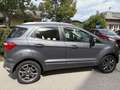 Ford EcoSport 1,0 EcoBoost Grau - thumbnail 4
