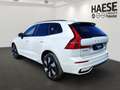 Volvo XC60 Plus Dark Plug-In Hybrid AWD T6 Twin Engine EU6e S Weiß - thumbnail 7
