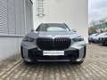 BMW X5 xDr30d M Sportpaket Park+DrivAsPr HarKar AHK Grau - thumbnail 4
