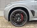 BMW X5 xDr30d M Sportpaket Park+DrivAsPr HarKar AHK Grau - thumbnail 3