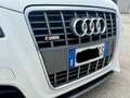 Audi A3 2.0 tdi S-Line DSG tetto LED Bi-xeno - thumbnail 2