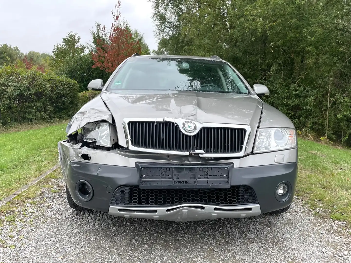 Skoda Octavia 2.0l Combi Scout 4x4 159T-Km Tüv=06/2027 Beige - 2