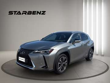 UX 2019 250h 2.0 Premium 4wd cvt - !!!PROMOSTAR!!!