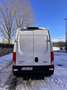 Iveco Daily Wit - thumbnail 13