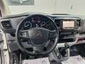 Citroen Jumpy 2.0L HDI, 1er propriétaire, 12 mois garantie Blanc - thumbnail 13