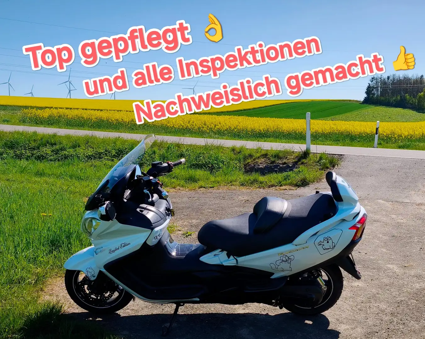 Suzuki Burgman 650 Alb - 2