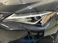 Lexus UX 250h Business 2wd cvt Noir - thumbnail 10