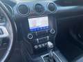 Ford Mustang 5.0 Ti-VCT V8 GT Convertible - MagnaRide Blanc - thumbnail 11