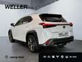 Lexus UX 300h F SPORT Design *LED*ACC*18''*SHZ*CAM*TWA* Wit - thumbnail 7