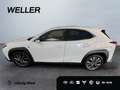Lexus UX 300h F SPORT Design *LED*ACC*18''*SHZ*CAM*TWA* Wit - thumbnail 5