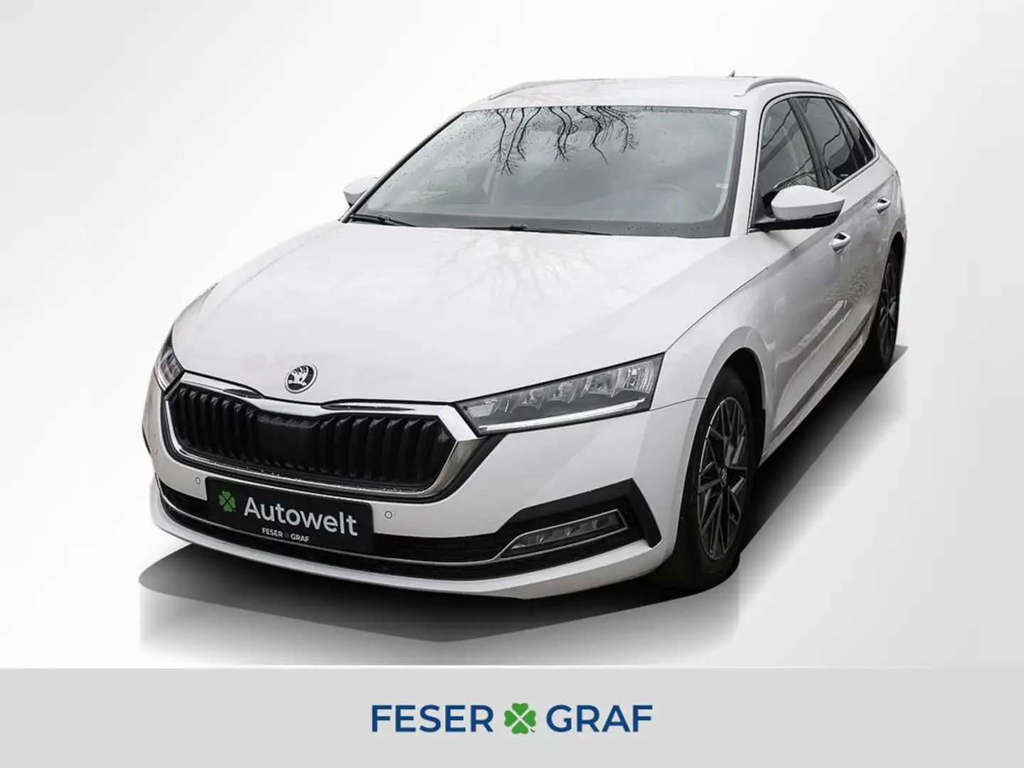Skoda Octavia Combi 1.0 e-Tec Style DSG LED Navi Sitzh. Bianco - 1