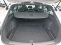 SEAT Leon Kombi FR 1,5 TSI ACT Bianco - thumbnail 12