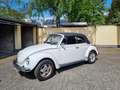Volkswagen Käfer Cabrio Weiß - thumbnail 1