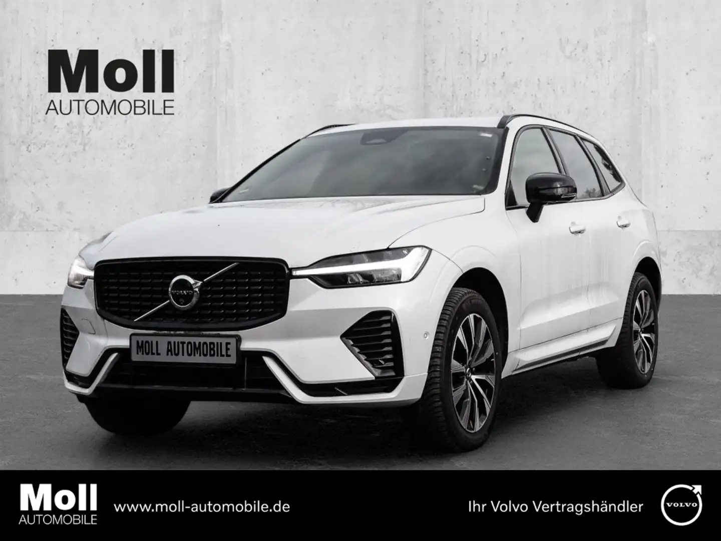 Volvo XC60 Plus Dark AWD B5 Benzin EU6d Allrad Leder digitale Weiß - 1