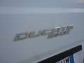 Fiat Ducato Ducato 35 2.3 MJT 130CV PLM-TM Furgone Maxi Bianco - thumbnail 6