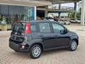 Fiat New Panda 1000 FireFly Hybrid 70CV ""Panda"" 5 Porte *Km. 0* Negro - thumbnail 2
