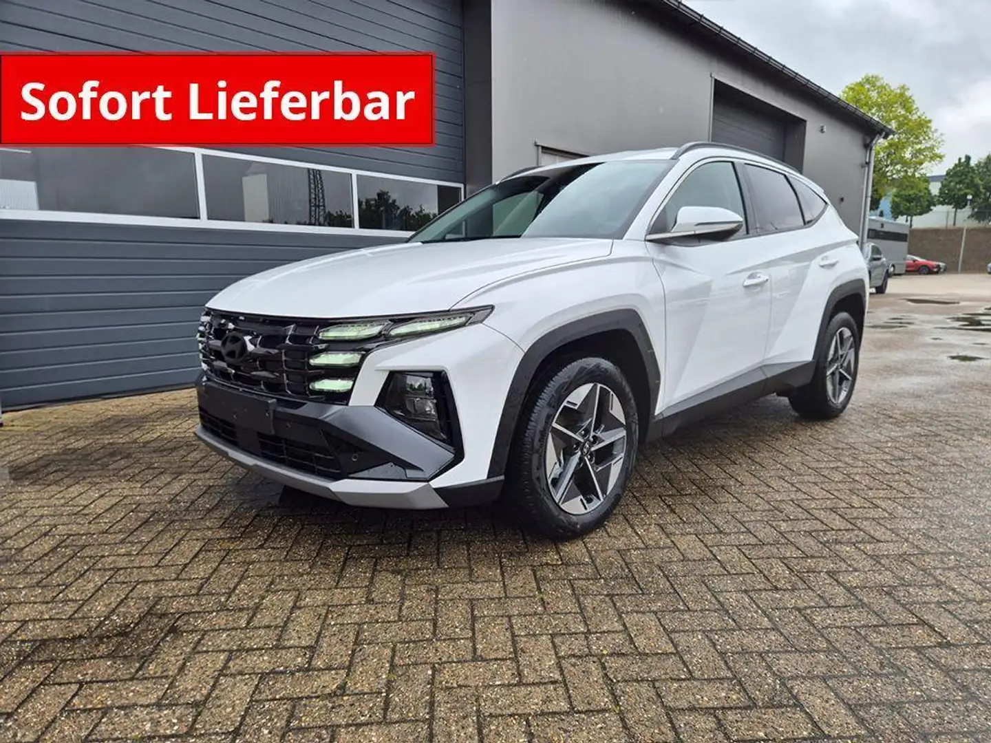 Hyundai TUCSON Trend 1.6 T-GDI 150PS Automatik TZ 2026 Teil-Le... Weiß - 1