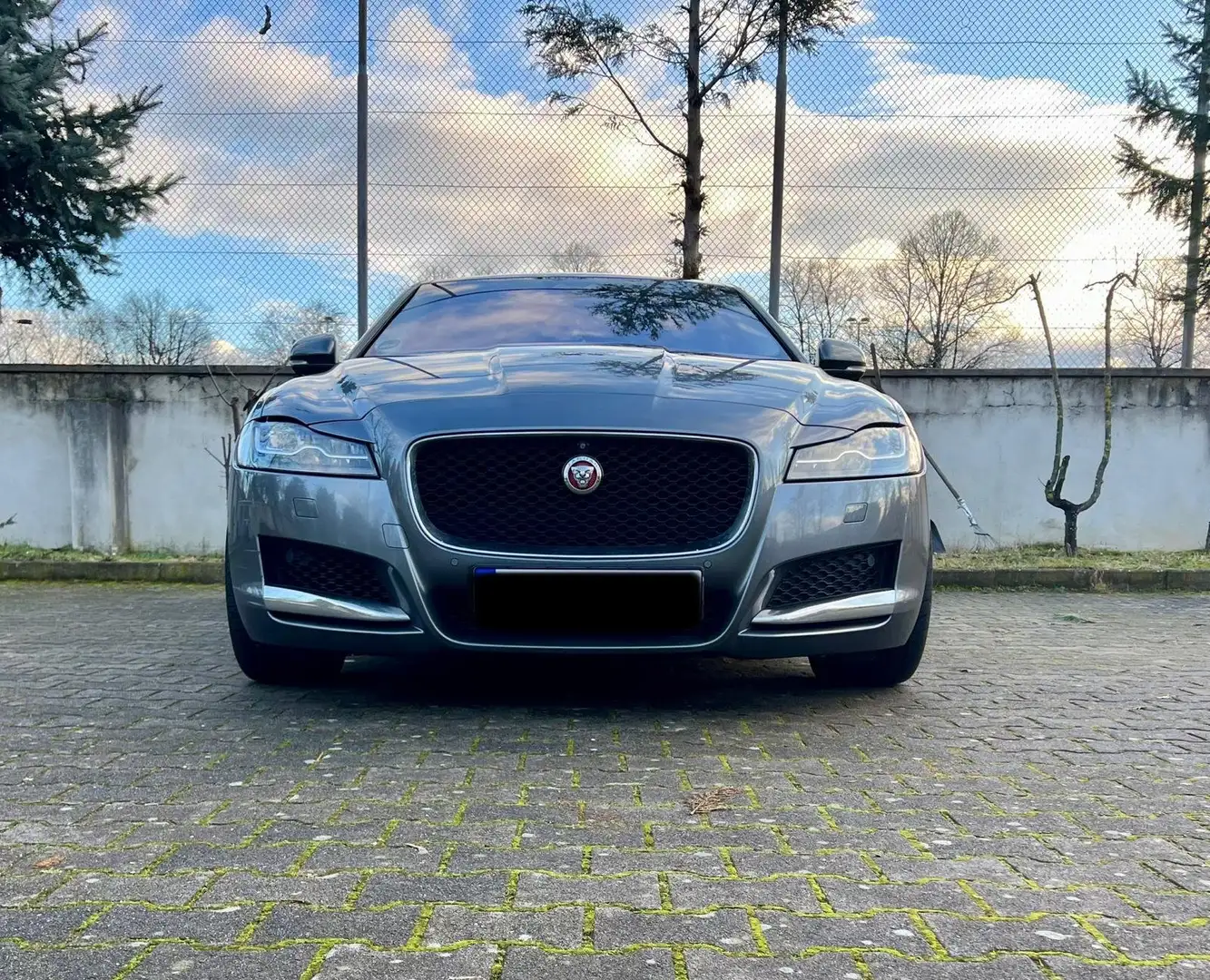 Jaguar XF XF 30d Aut. Portfolio Grau - 2