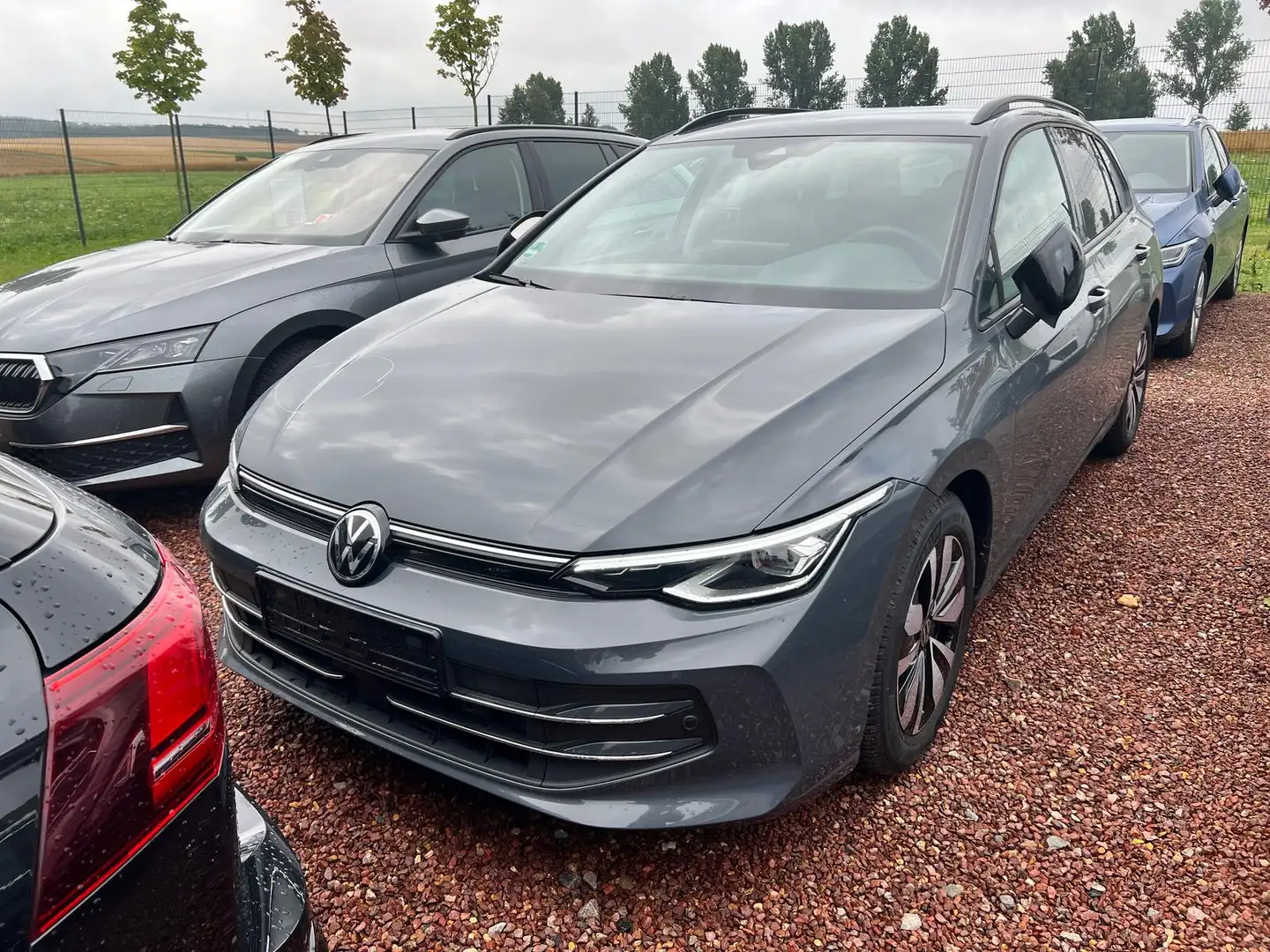 Volkswagen Golf Variant 1.5 eTSI DSG Goal FACELIFT Navi|LED|virt.C Gris - 2