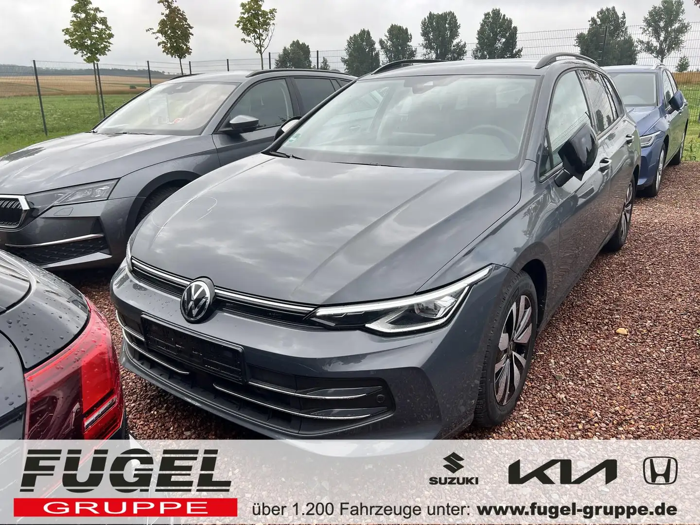 Volkswagen Golf Variant 1.5 eTSI DSG Goal FACELIFT Navi|LED|virt.C Gris - 1