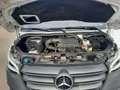 Mercedes-Benz Sprinter III 319 CDI V6 Klima/2xStHZ/LED/RFK/PTS - thumbnail 16