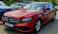 Mercedes-Benz E 200 E -Klasse T-Modell E200 Avantgarde Designo Rood - thumbnail 4