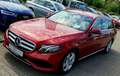 Mercedes-Benz E 200 E -Klasse T-Modell E200 Avantgarde Designo Rood - thumbnail 2