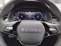Skoda Kamiq Selection TSI DSG Grau - thumbnail 18