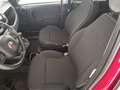 Fiat Panda Panda III 2021 Cross Panda 1.0 firefly hybrid Cro Rosso - thumbnail 11