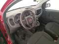 Fiat Panda Panda III 2021 Cross Panda 1.0 firefly hybrid Cro Rosso - thumbnail 10