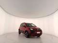 Fiat Panda Panda III 2021 Cross Panda 1.0 firefly hybrid Cro Rosso - thumbnail 3