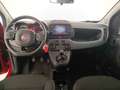 Fiat Panda Panda III 2021 Cross Panda 1.0 firefly hybrid Cro Rosso - thumbnail 9