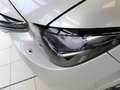 Mazda CX-80 3.3L HOMURA PLUS CAHO - thumbnail 4