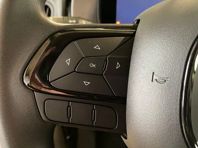 Fiat Panda view 12
