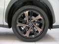 Lexus NX 300h Hybrid 4WD Premium Silber - thumbnail 20
