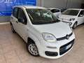 Fiat Panda Panda III 2016 1.2 Easy 69cv Bianco - thumbnail 5