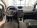 Opel Meriva Meriva II 2014 1.4 Advance (elective) 100cv Bianco - thumbnail 11
