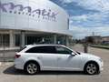 Audi A4 Avant 2.0 TDI 122 CV S tronic Business Sport Weiß - thumbnail 3