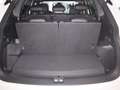 Volkswagen Tiguan Allspace R-Line Black Style 2.0TSI DSG 4M 382,-ohne Anzahl Weiß - thumbnail 17